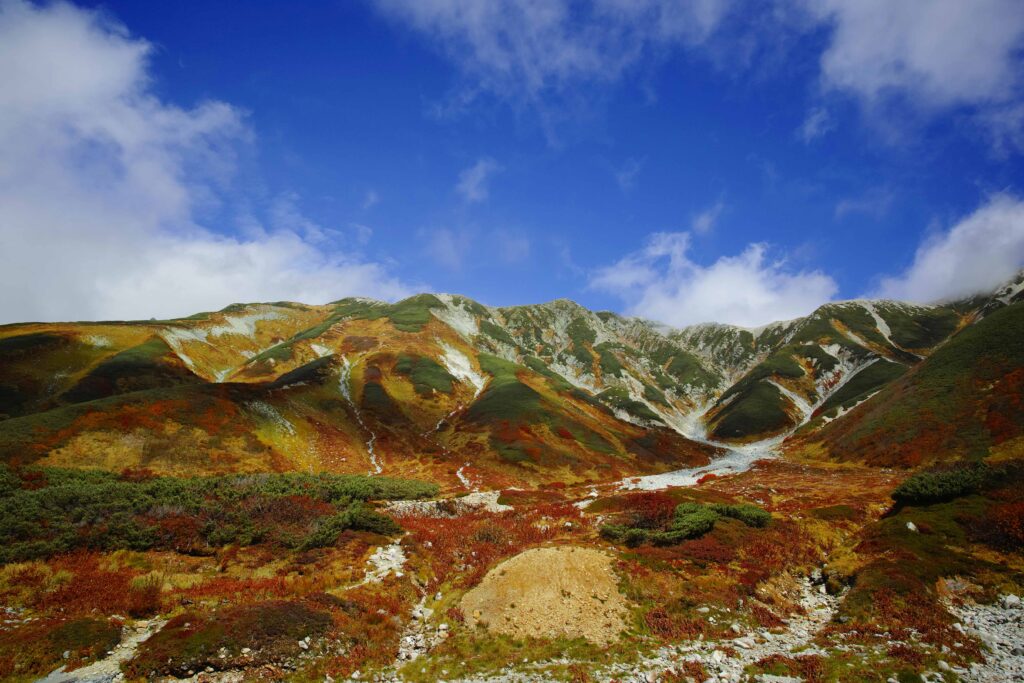 Autumn leaves in the mountains